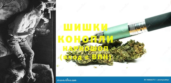 первитин Богданович