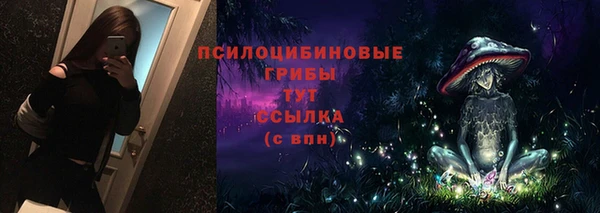 a pvp Богородицк