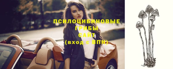 первитин Богданович