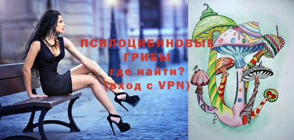 ГАЛЛЮЦИНОГЕННЫЕ ГРИБЫ Богородск