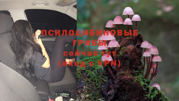 первитин Богданович