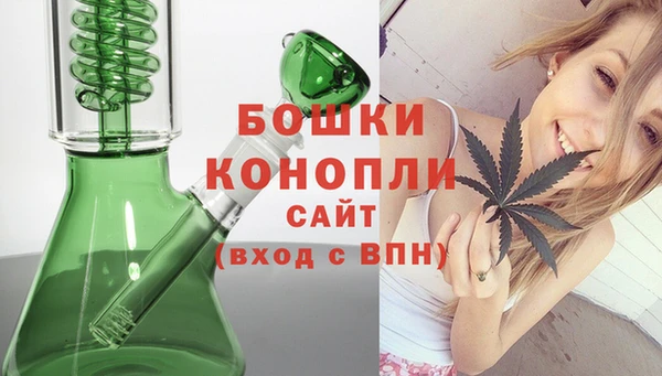 первитин Богданович